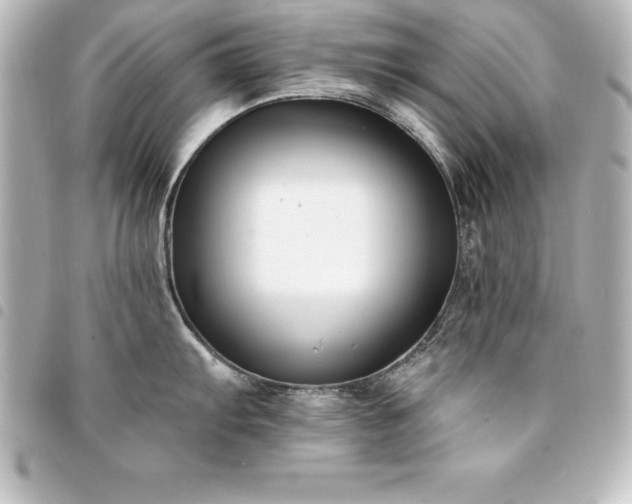 X0000094361103200711021504