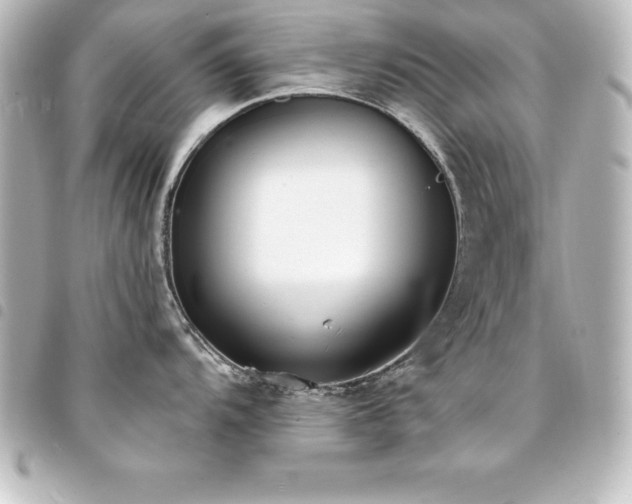 X0000094361104200711021504