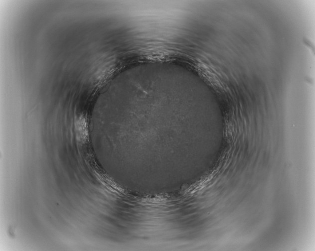 X0000094361106200711021504