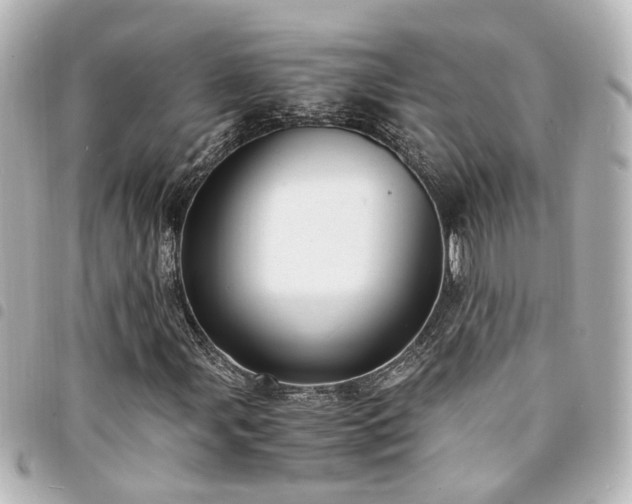 X0000094361107200711021504