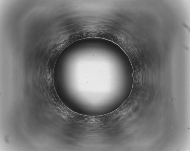 X0000094361109200711021504
