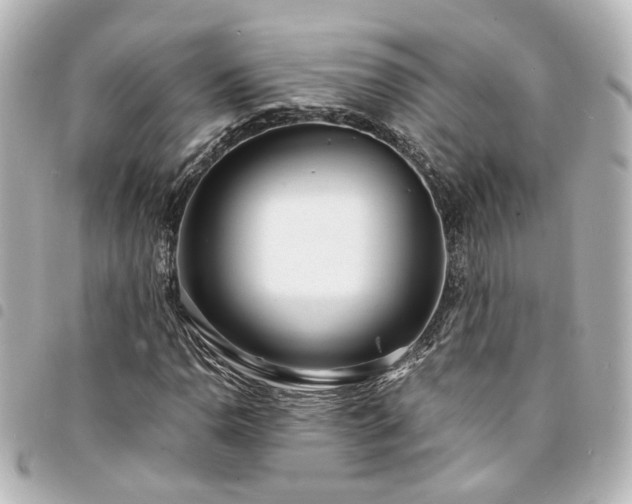 X0000094361110200711021504