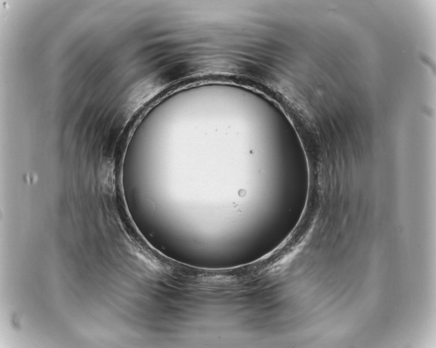 X0000094361113200711021504