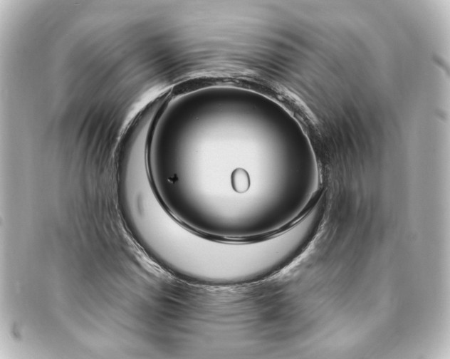 X0000094361114200711021504