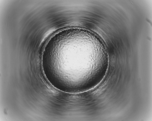 X0000094361115200711021504