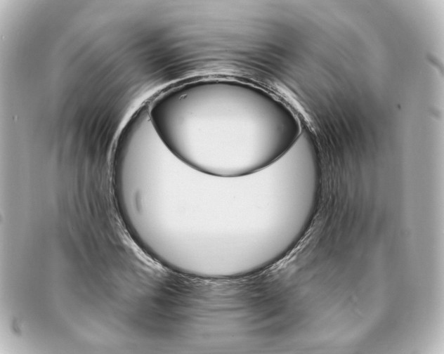 X0000094361116200711021504
