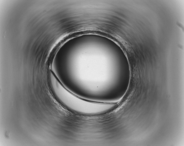 X0000094361118200711021504