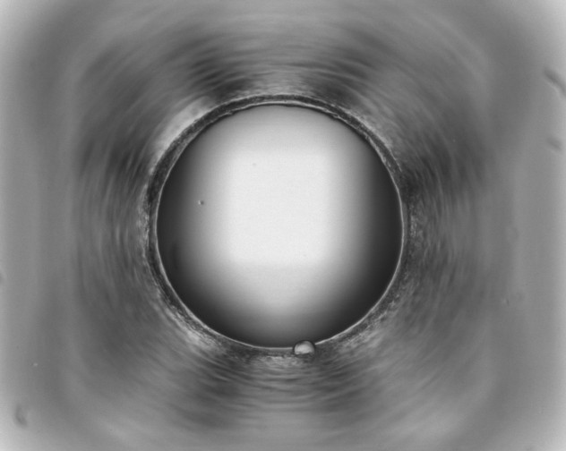 X0000094361119200711021504