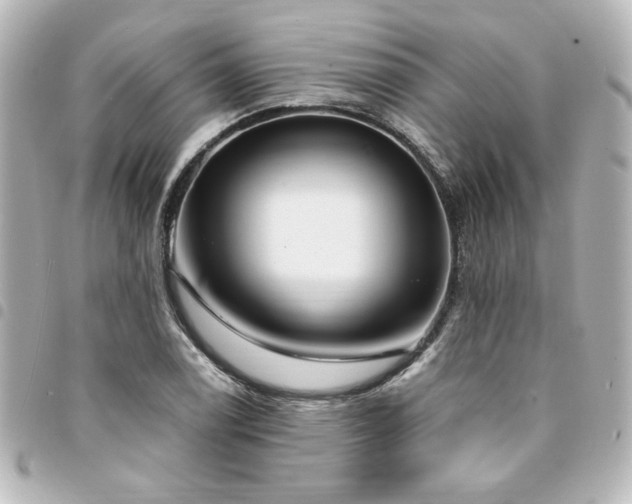 X0000094361122200711021504