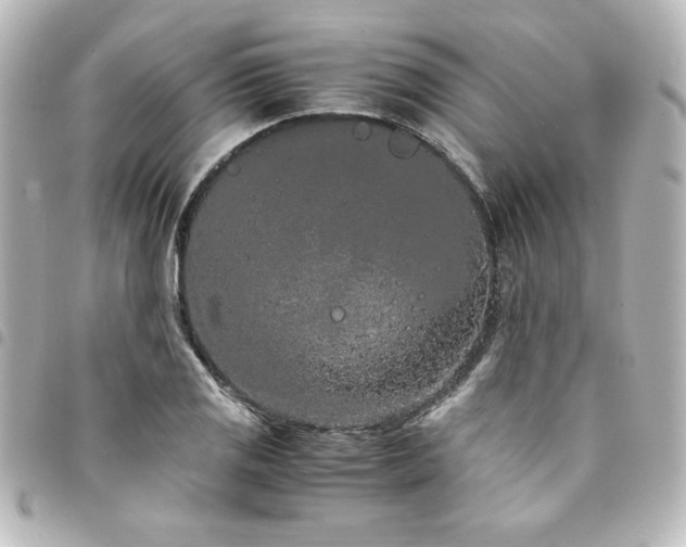X0000094361125200711021504