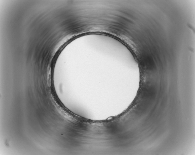 X0000094361126200711021504