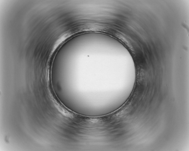 X0000094361130200711021504