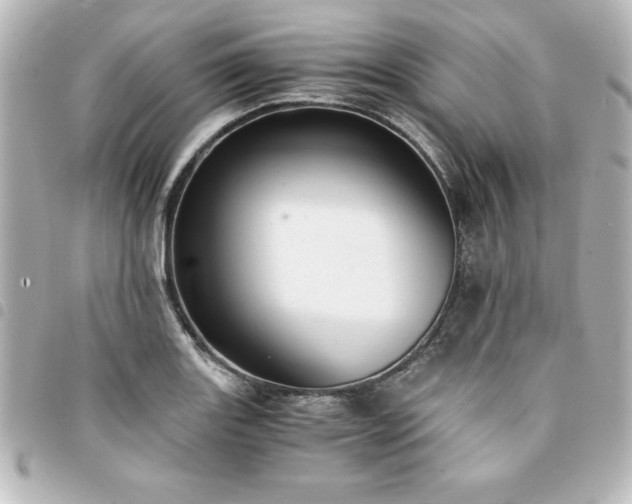 X0000094361131200711021504
