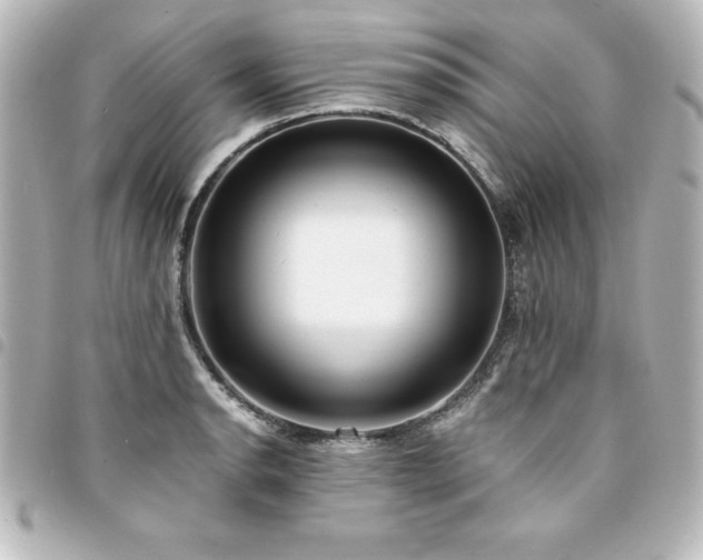 X0000094361134200711021504