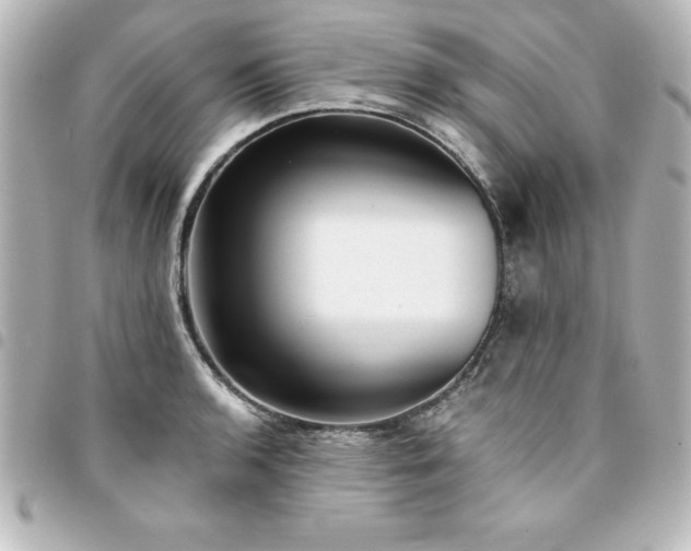 X0000094361136200711021504