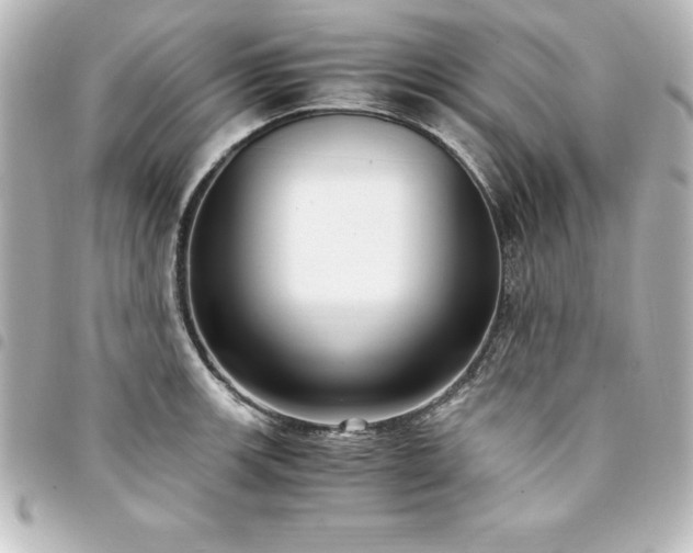 X0000094361139200711021504