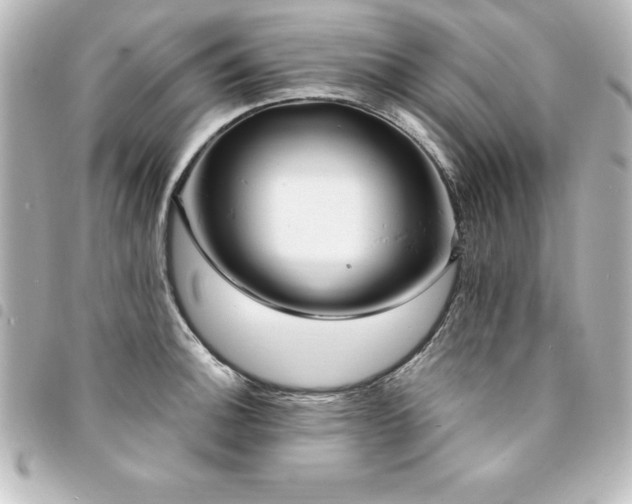 X0000094361140200711021504