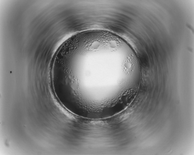 X0000094361142200711021504