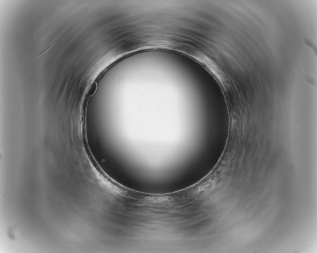 X0000094361143200711021504