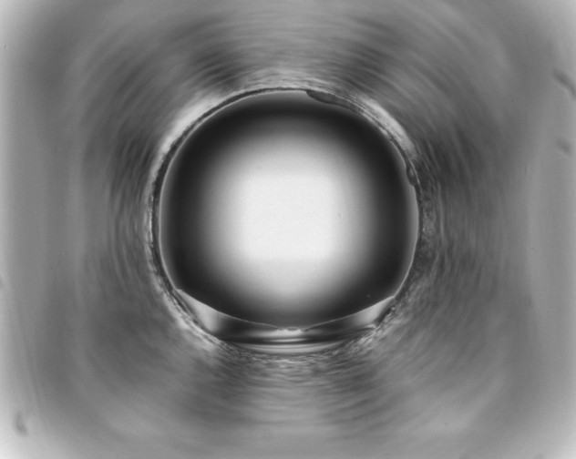 X0000094361144200711021504
