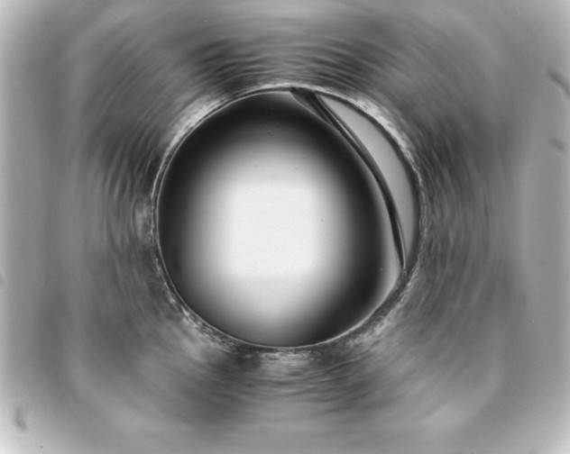 X0000094361145200711021504