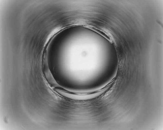X0000094361146200711021504