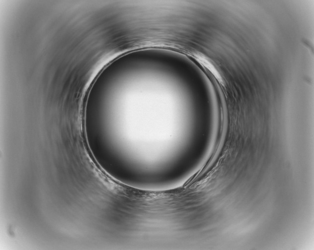 X0000094361148200711021504
