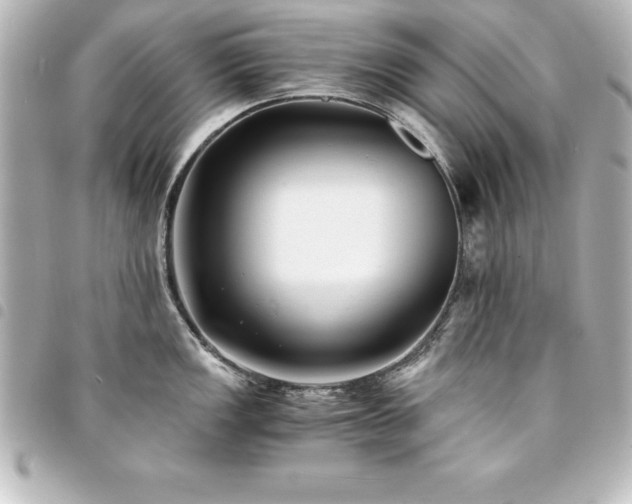 X0000094361149200711021504