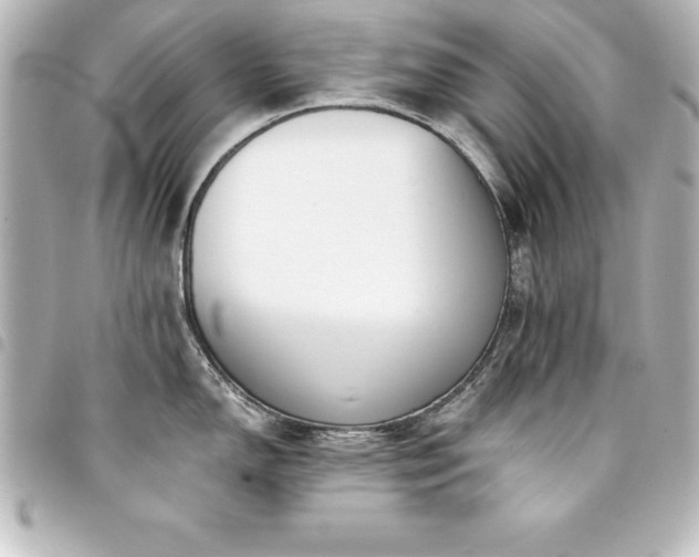 X0000094361150200711021504
