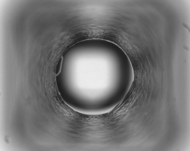 X0000094361153200711021504