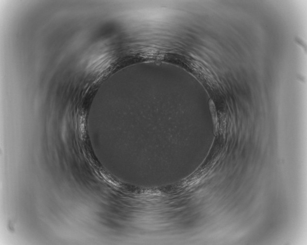 X0000094361154200711021504