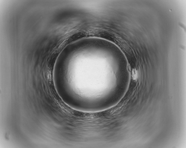 X0000094361155200711021504