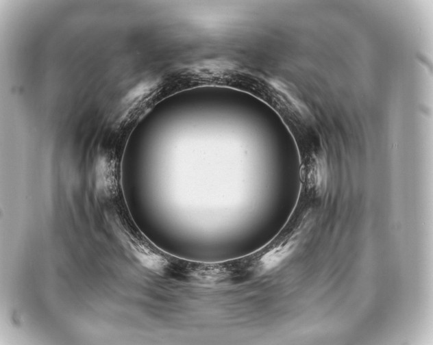 X0000094361156200711021504