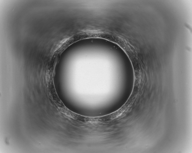 X0000094361157200711021504