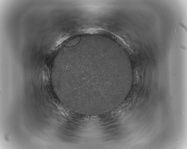 X0000094361158200711021504