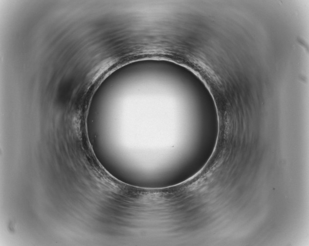 X0000094361162200711021503
