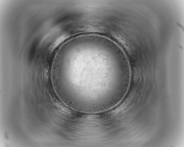 X0000094361163200711021503