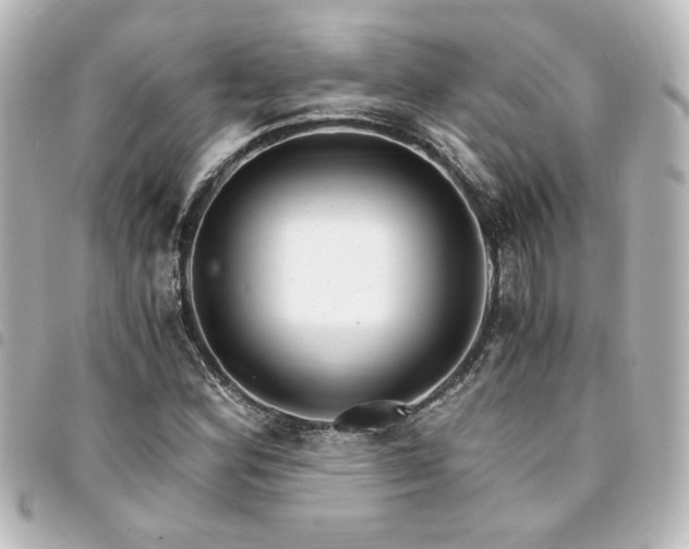 X0000094361164200711021503