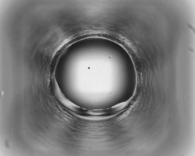 X0000094361165200711021503
