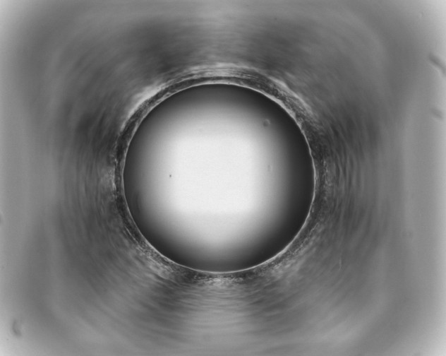X0000094361166200711021503