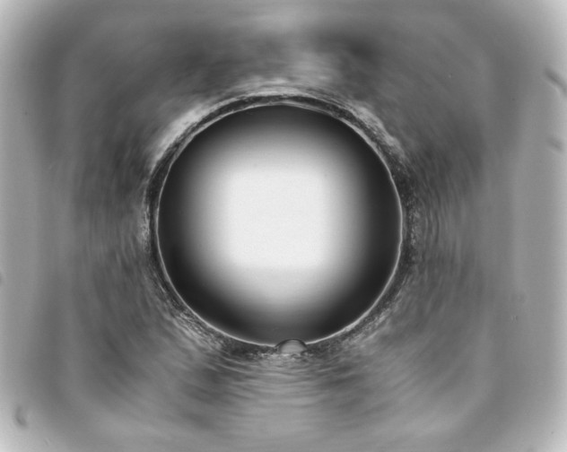 X0000094361167200711021503