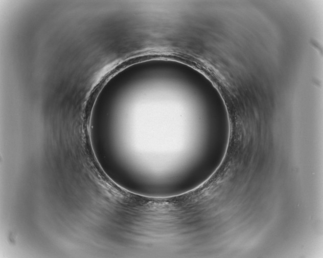 X0000094361168200711021503