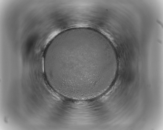 X0000094361171200711021503