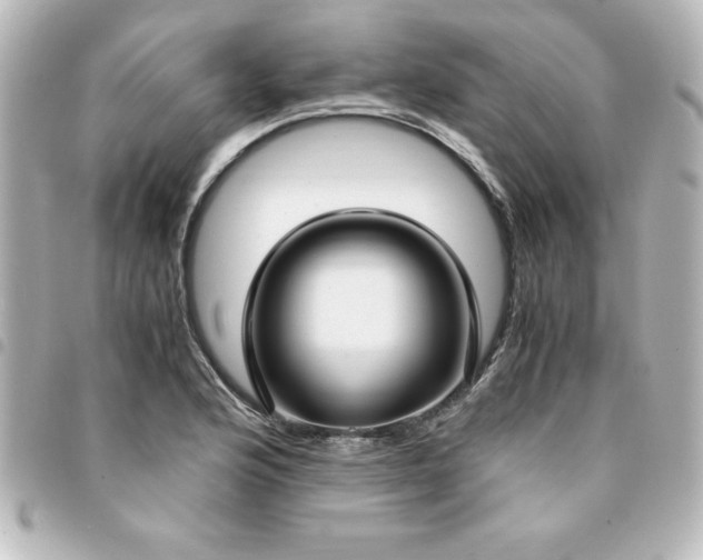 X0000094361176200711021503