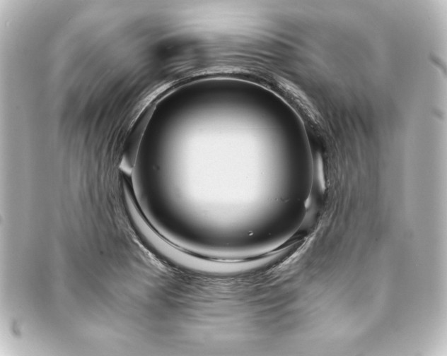 X0000094361177200711021503