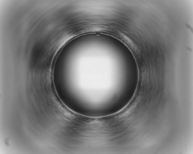 X0000094361178200711021503