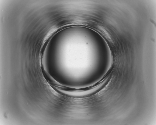 X0000094361180200711021503
