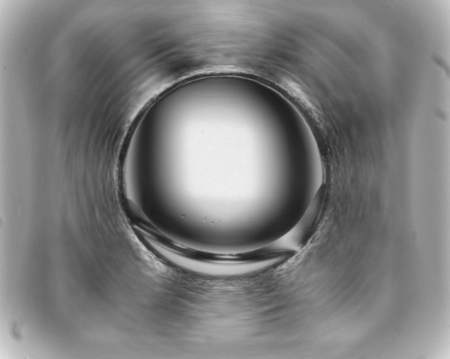 X0000094361181200711021503