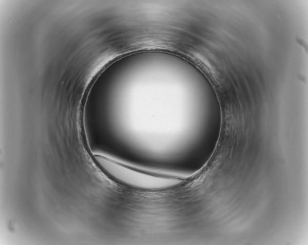 X0000094361182200711021503