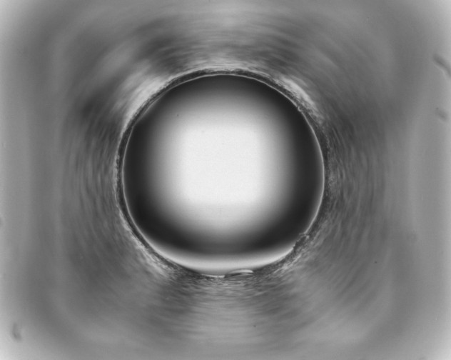 X0000094361183200711021503